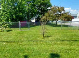 Clenord I.'s Lawn Mowing Service service result