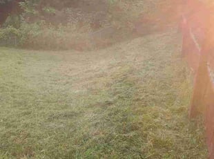 Nicholas A.'s Lawn Care service result