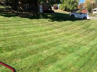 Marianna O.'s Lawn Mowing service result