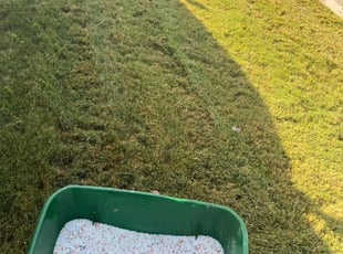 Lawn Treatment by Tomika Carter for Dasha J. in College Park, GA