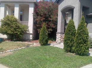 Mike Y.'s Lawn Service service result
