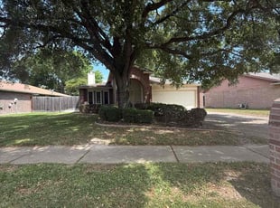 Bush Trimming by Roberto Villalobos for Ashton D. in Katy, TX