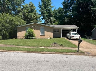 Shunta W.'s Lawn Care service result