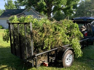 Cleanups by Nick Richardson for Susan H. in Fort Wayne, IN