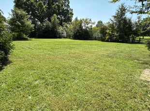 Shaun H.'s Grass Cutting service result