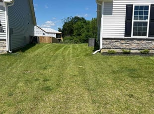 Randy M.'s Lawn Mowing service result