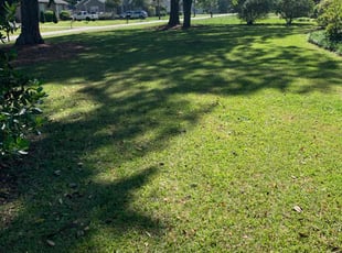 Hannah p.'s Yard Cutting service result