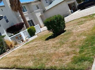 Bush Trimming by Robert Fitch for Jorge R. in Victorville, CA