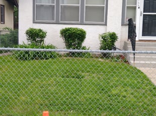 Bush Trimming by Steven Pearson for Michelle J. in Minneapolis, MN