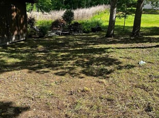 Cleanups by Caitlin Hough for Ali D. in Durham, NC