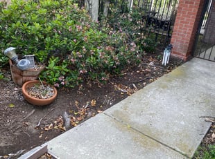 Weeding by Earl Miller for Gloria M. in San Diego, CA
