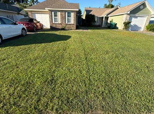 Mandeville S.'s Lawn Care service result