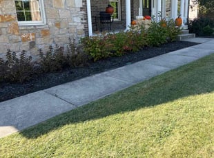 Weeding by Tywuan Williams for Tyler B. in Indianapolis, IN