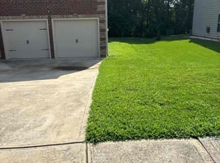 Ragene F.'s Grass Cutting service result