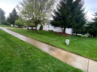 Joan L.'s Yard Cutting service result