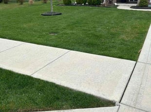 Josephine H.'s Lawn Care service result
