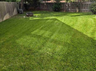 kyle c.'s Grass Cutting service result