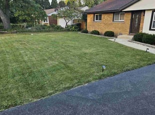 Tory M.'s Lawn Care service result