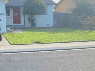 Hassan H.'s Lawn Service service result