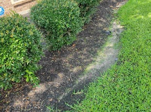 Weeding by Gladis Carcamo for Yolinda B. in Katy, TX