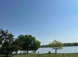 Leta W.'s Lawn Care service result