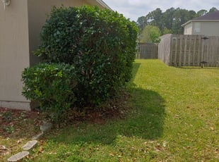 Bush Trimming by Aderias Rollins for Sarah Q. in Jacksonville, FL