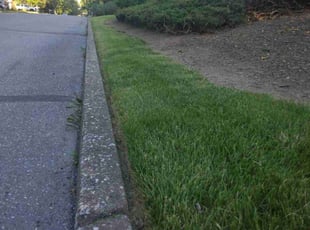 Cheryl R.'s Lawn Service service result
