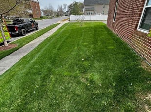 Bly H.'s Yard Cutting service result