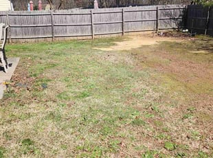 Leaf Removal by Gabriel Gray for Andrew S. in Monroe, NC
