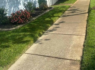 Janet G.'s Yard Cutting service result