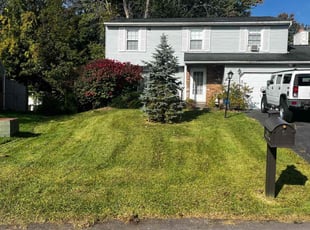 Andrew B.'s Lawn Care service result