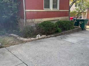 Bush Trimming by James Abernathy for Lauren F. in Cincinnati, OH