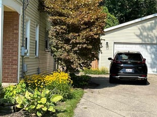 Bush Trimming by Ryan Cooper for Cathy H. in Grand Rapids, MI