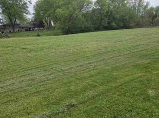 Kim S.'s Lawn Mowing Service service result