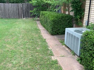 Bush Trimming by Jeff Price for Robert H. in Tulsa, OK