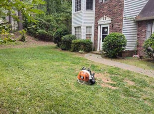 Bush Trimming by Arey Cooper for Denise C. in Fayetteville, GA