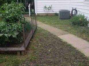 Patricia R.'s Lawn Care service result