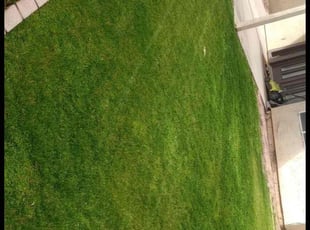 Luis H.'s Lawn Service service result
