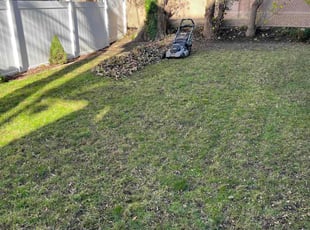 Leaf Removal by Randy Regis for Samuel E. in Boston, MA