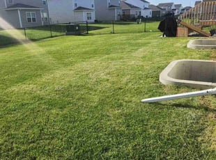 Barbara B.'s Yard Cutting service result