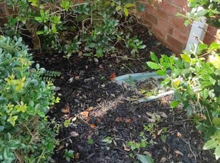 Landscaping by Michael Weaver for Catherine C. in Mt. Juliet, TN