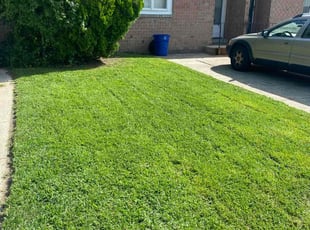 Cynthia M.'s Yard Cutting service result