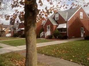 Dan S.'s Lawn Care service result