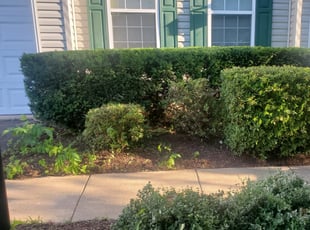 Bush Trimming by Rose Valle for Andrew B. in Bristow, VA