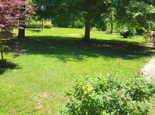 Tyrone B.'s Lawn Mowing service result