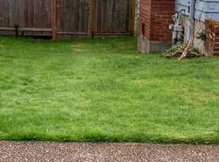 Andrew B.'s Lawn Care service result