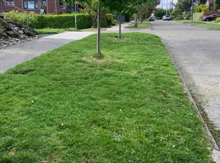 Brett S.'s Lawn Mowing service result