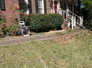 Bush Trimming by Terrence Warren for Michael H. in Stone Mountain, GA