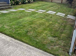 Frank J.'s Lawn Mowing Service service result
