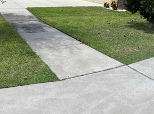 Catryna C.'s Lawn Mowing service result